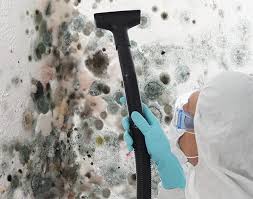 Best Mold Damage Restoration in USA